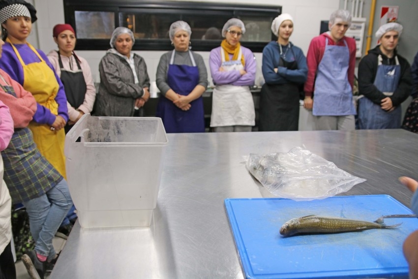 Continan las prcticas en el curso de ayudante de cocina