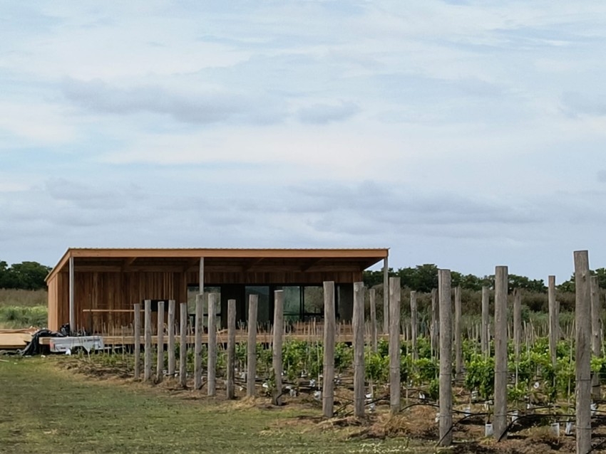 La bodega Gamboa contina con sus avances de cara a su apertura