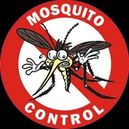 Fumigacin contra mosquitos