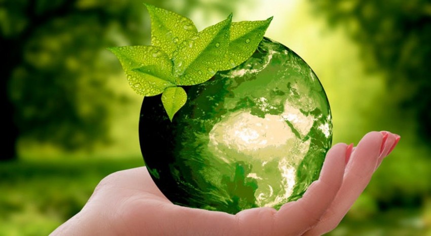 dia mundial del medioambiente