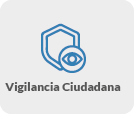 Vigilancia ciudadana